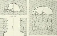 An illustration from The elements of railroad engineering (1897)