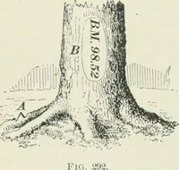 An illustration from The elements of railroad engineering (1897)