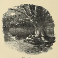 An illustration from Elephant-hunting in East Equatorial Africa : being an account of three years' ivory-hunting under Mount Kenia and among the Ndorobo savages of the Lorogi Mountains, including a trip to the north of Lake Rudolph (1898)