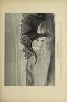 An illustration from Elephant-hunting in East Equatorial Africa : being an account of three years' ivory-hunting under Mount Kenia and among the Ndorobo savages of the Lorogi Mountains, including a trip to the north of Lake Rudolph (1898)