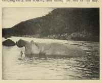 Picture 2 of 14 from Elephant-hunting in East Equatorial Africa : being an account of three years' ivory-hunting under Mount Kenia and among the Ndorobo savages of the Lorogi Mountains, including a trip to the north of Lake Rudolph (1898), leaf 42