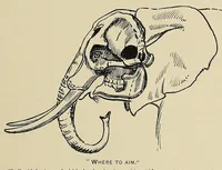 An illustration from Elephant-hunting in East Equatorial Africa : being an account of three years' ivory-hunting under Mount Kenia and among the Ndorobo savages of the Lorogi Mountains, including a trip to the north of Lake Rudolph (1898)