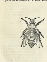 Picture 7 of 7 from Elettricismo atmosferico lettere (1758), leaf 253