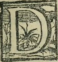 Picture 4 of 11 from El ingenioso hidalgo Don Quixote de la Mancha (1608), leaf 12