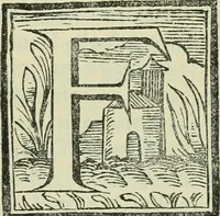 An illustration from El ingenioso hidalgo Don Quixote de la Mancha (1608)