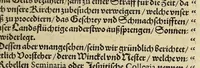 An illustration from Elisabethen der Königin inn Engellandt, vnd Irrlandt, &c. : Edict, den neun vnd zweyntzigisten Nouembris dess fünfftzehenhundert ein vnd neuntzigsten Jars zu Londra öffentlich publiciert. (1593)