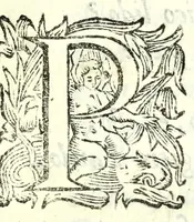 An illustration from Elisa : favola maritima (1627)