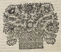 An illustration from El Marañon, y Amazonas. : Historia de los descubrimientos, entradas, y reduccion de naciones. Trabajos malogrados de algunos conquistadores, y dichosos de otros, assi temporales, como espirituales, en las dilatadas montañas, y mayores rios de la America. (1684)