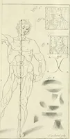 An illustration from El museo pictorico, y escala óptica ... (1795)
