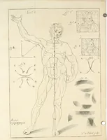 An illustration from El museo pictorico, y escala óptica ... (1795)