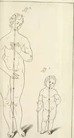 An illustration from El museo pictorico, y escala óptica ... (1795)