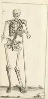 An illustration from El museo pictorico, y escala óptica ... (1795)