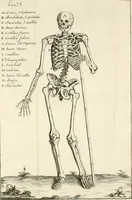An illustration from El museo pictorico, y escala óptica ... (1795)