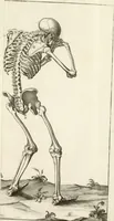 An illustration from El museo pictorico, y escala óptica ... (1795)