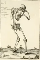 An illustration from El museo pictorico, y escala óptica ... (1795)