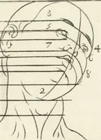 An illustration from El museo pictorico, y escala óptica ... (1795)