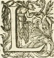 An illustration from Eloges et discours sur la triomphante reception du roy en sa ville de Paris, apres la reduction de la Rochelle : accompagnez des figures, tant des arcs de triomphe que des autres preparatifs (1629)