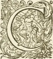 An illustration from Eloges et discours sur la triomphante reception du roy en sa ville de Paris, apres la reduction de la Rochelle : accompagnez des figures, tant des arcs de triomphe que des autres preparatifs (1629)