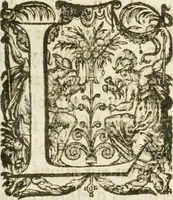 An illustration from Eloges et discours sur la triomphante reception du roy en sa ville de Paris, apres la reduction de la Rochelle : accompagnez des figures, tant des arcs de triomphe que des autres preparatifs (1629)