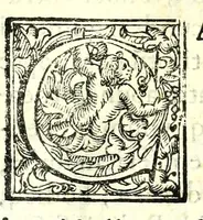 Picture 6 of 70 from Elogia abbatvm sacri Monasterij Casinensis : ad rum. patrem d. Simplicivm Caffarellvm, congregationis casinensis praesidem generalem (1630), leaf 19