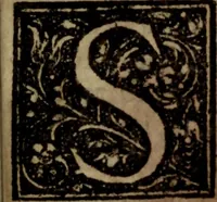 An illustration from El peregrino en su patria (1604)