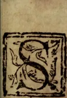 An illustration from El peregrino en su patria (1604)