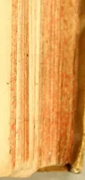 An illustration from Elucidatio veritatis in casu fatalium accvsationum per quadringentos fratres coadunatos contra patres provinciae Algarbiorum, : in sacra episcoporum, & regularium congregatione factarum; (1691)