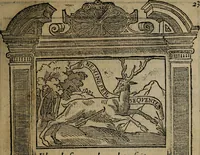 Picture 30 of 179 from Emblemas morales de don Ivan de Horozco y Couarruuias : dedicadas a la buena memoria del presidente Don Diego de Couarruuias y Leya su tio (1589), leaf 258