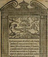 Picture 35 of 179 from Emblemas morales de don Ivan de Horozco y Couarruuias : dedicadas a la buena memoria del presidente Don Diego de Couarruuias y Leya su tio (1589), leaf 270
