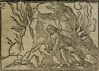 Picture 39 of 179 from Emblemas morales de don Ivan de Horozco y Couarruuias : dedicadas a la buena memoria del presidente Don Diego de Couarruuias y Leya su tio (1589), leaf 278
