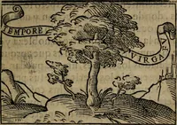 Picture 54 of 179 from Emblemas morales de don Ivan de Horozco y Couarruuias : dedicadas a la buena memoria del presidente Don Diego de Couarruuias y Leya su tio (1589), leaf 314
