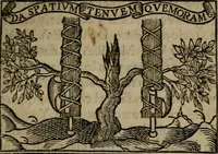 Picture 63 of 179 from Emblemas morales de don Ivan de Horozco y Couarruuias : dedicadas a la buena memoria del presidente Don Diego de Couarruuias y Leya su tio (1589), leaf 330