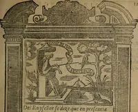 Picture 110 of 179 from Emblemas morales de don Ivan de Horozco y Couarruuias : dedicadas a la buena memoria del presidente Don Diego de Couarruuias y Leya su tio (1589), leaf 446