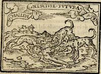 An illustration from Emblemas morales de Don Sebastian de Couarrubias Orozco, capellan del rey N.S. Maestrescuela, y canonigo de Cuenca, consultor del santo oficio (1610)