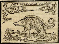 An illustration from Emblemas morales de Don Sebastian de Couarrubias Orozco, capellan del rey N.S. Maestrescuela, y canonigo de Cuenca, consultor del santo oficio (1610)