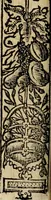 An illustration from Emblemas morales de Don Sebastian de Couarrubias Orozco, capellan del rey N.S. Maestrescuela, y canonigo de Cuenca, consultor del santo oficio (1610)