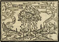 An illustration from Emblemas morales de Don Sebastian de Couarrubias Orozco, capellan del rey N.S. Maestrescuela, y canonigo de Cuenca, consultor del santo oficio (1610)