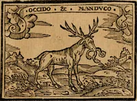 An illustration from Emblemas morales de Don Sebastian de Couarrubias Orozco, capellan del rey N.S. Maestrescuela, y canonigo de Cuenca, consultor del santo oficio (1610)