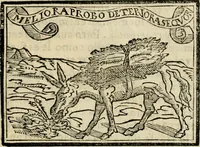 An illustration from Emblemas morales de Don Sebastian de Couarrubias Orozco, capellan del rey N.S. Maestrescuela, y canonigo de Cuenca, consultor del santo oficio (1610)