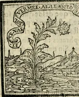 An illustration from Emblemas morales de Don Sebastian de Couarrubias Orozco, capellan del rey N.S. Maestrescuela, y canonigo de Cuenca, consultor del santo oficio (1610)