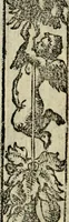An illustration from Emblemas morales de Don Sebastian de Couarrubias Orozco, capellan del rey N.S. Maestrescuela, y canonigo de Cuenca, consultor del santo oficio (1610)