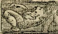 An illustration from Emblemas morales de Don Sebastian de Couarrubias Orozco, capellan del rey N.S. Maestrescuela, y canonigo de Cuenca, consultor del santo oficio (1610)