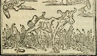 An illustration from Emblemas morales de Don Sebastian de Couarrubias Orozco, capellan del rey N.S. Maestrescuela, y canonigo de Cuenca, consultor del santo oficio (1610)