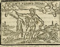 An illustration from Emblemas morales de Don Sebastian de Couarrubias Orozco, capellan del rey N.S. Maestrescuela, y canonigo de Cuenca, consultor del santo oficio (1610)