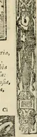 An illustration from Emblemas morales de Don Sebastian de Couarrubias Orozco, capellan del rey N.S. Maestrescuela, y canonigo de Cuenca, consultor del santo oficio (1610)