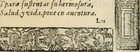 An illustration from Emblemas morales de Don Sebastian de Couarrubias Orozco, capellan del rey N.S. Maestrescuela, y canonigo de Cuenca, consultor del santo oficio (1610)