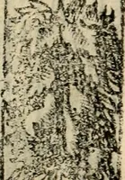 An illustration from Emblemas morales de Don Sebastian de Couarrubias Orozco, capellan del rey N.S. Maestrescuela, y canonigo de Cuenca, consultor del santo oficio (1610)
