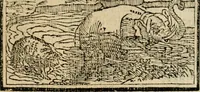 An illustration from Emblemas morales de Don Sebastian de Couarrubias Orozco, capellan del rey N.S. Maestrescuela, y canonigo de Cuenca, consultor del santo oficio (1610)