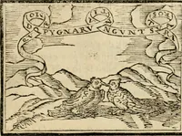 An illustration from Emblemas morales de Don Sebastian de Couarrubias Orozco, capellan del rey N.S. Maestrescuela, y canonigo de Cuenca, consultor del santo oficio (1610)