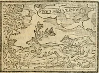 An illustration from Emblemas morales de Don Sebastian de Couarrubias Orozco, capellan del rey N.S. Maestrescuela, y canonigo de Cuenca, consultor del santo oficio (1610)